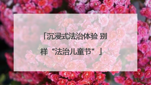 沉浸式法治体验 别样“法治儿童节”